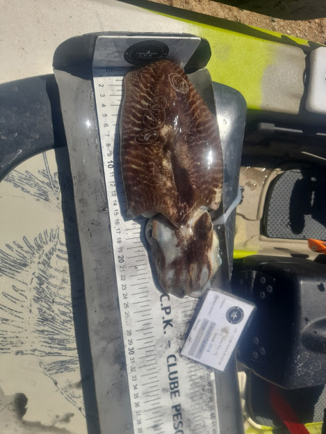 Fish Measure Picture