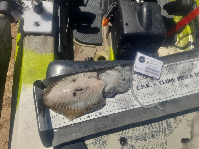 Fish Measure Picture