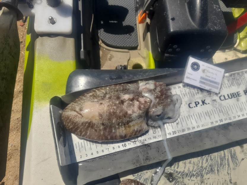 Fish Measure Picture