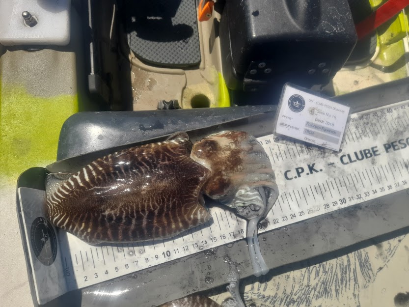 Fish Measure Picture
