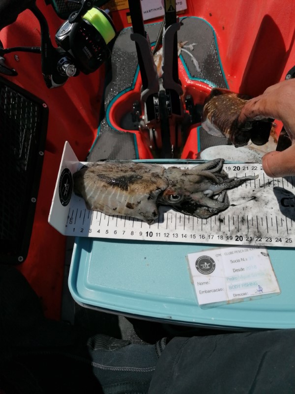 Fish Measure Picture
