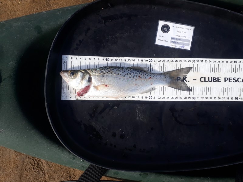 Fish Measure Picture