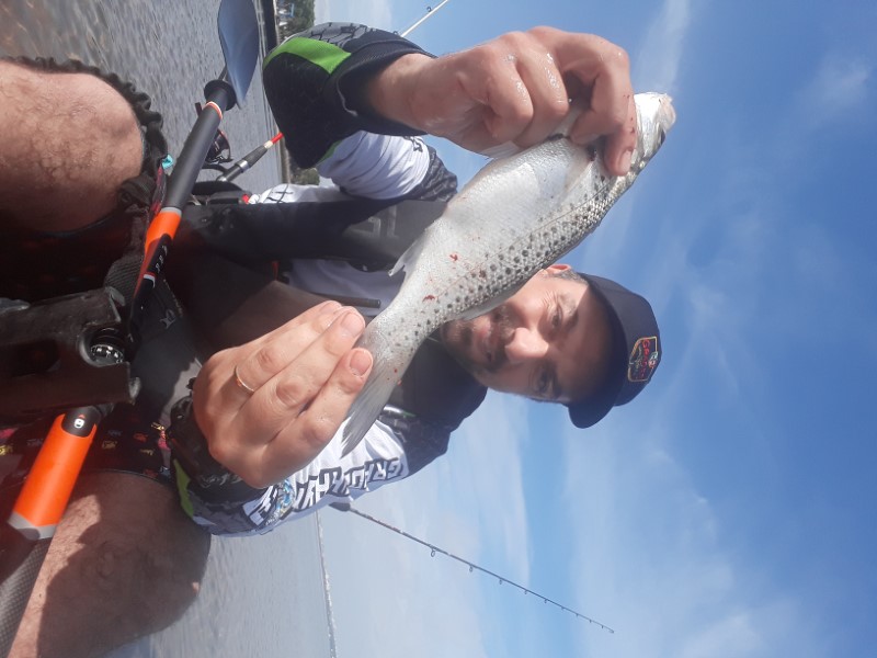 Fish Profile Picture