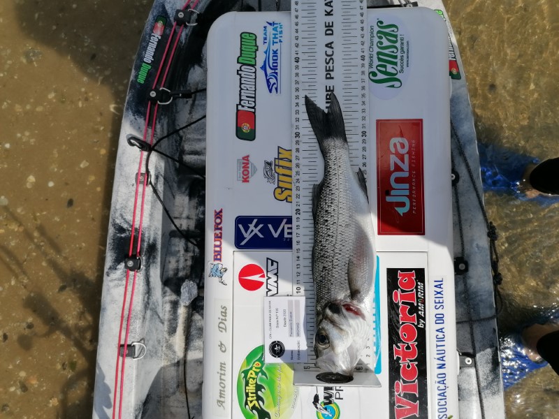 Fish Measure Picture