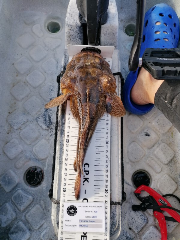 Fish Measure Picture