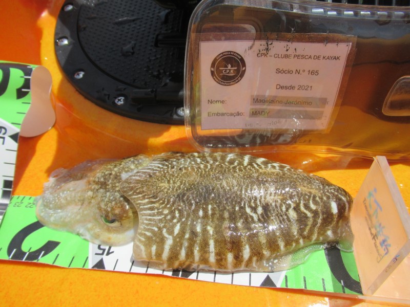 Fish Measure Picture