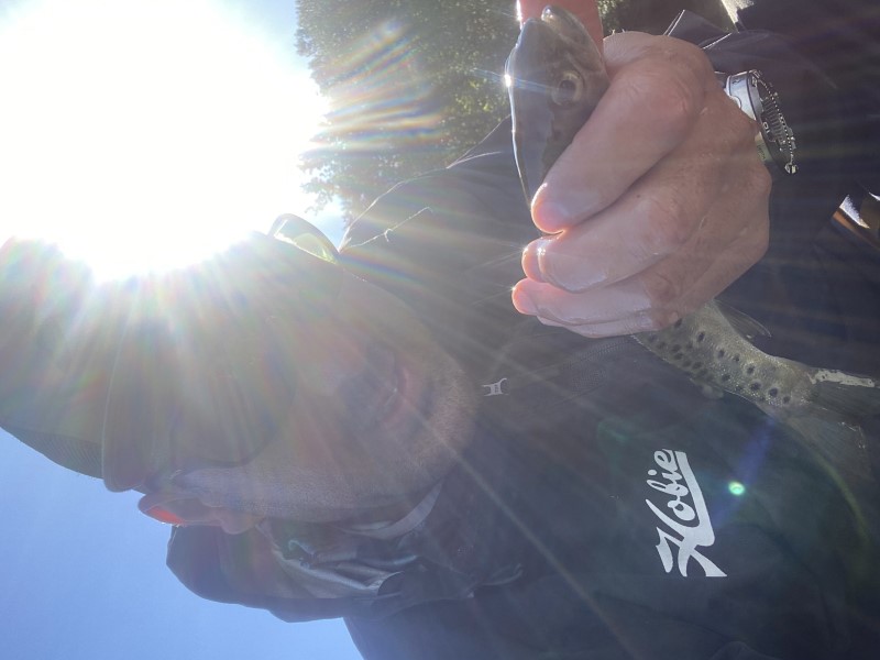 Fish Profile Picture