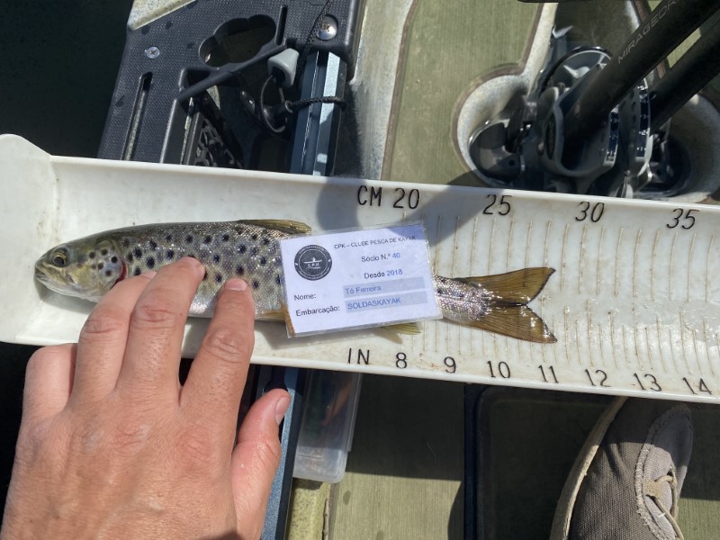 Fish Measure Picture