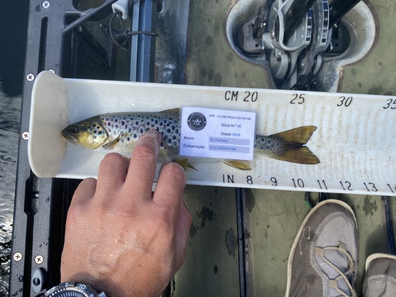 Fish Measure Picture
