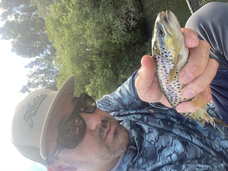 Fish Profile Picture