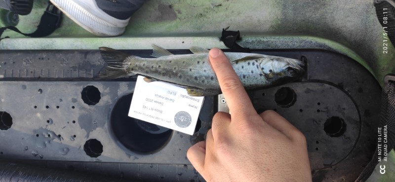 Fish Profile Picture