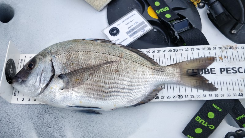 Fish Measure Picture