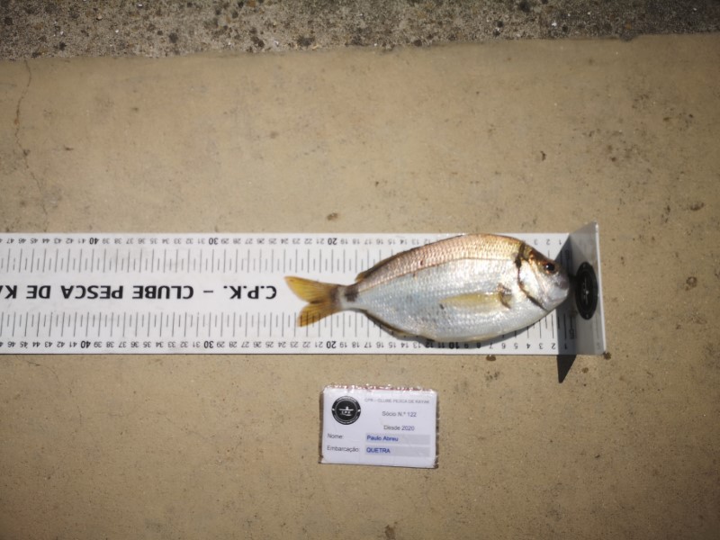Fish Measure Picture