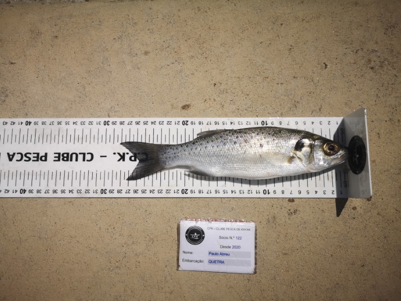 Fish Measure Picture