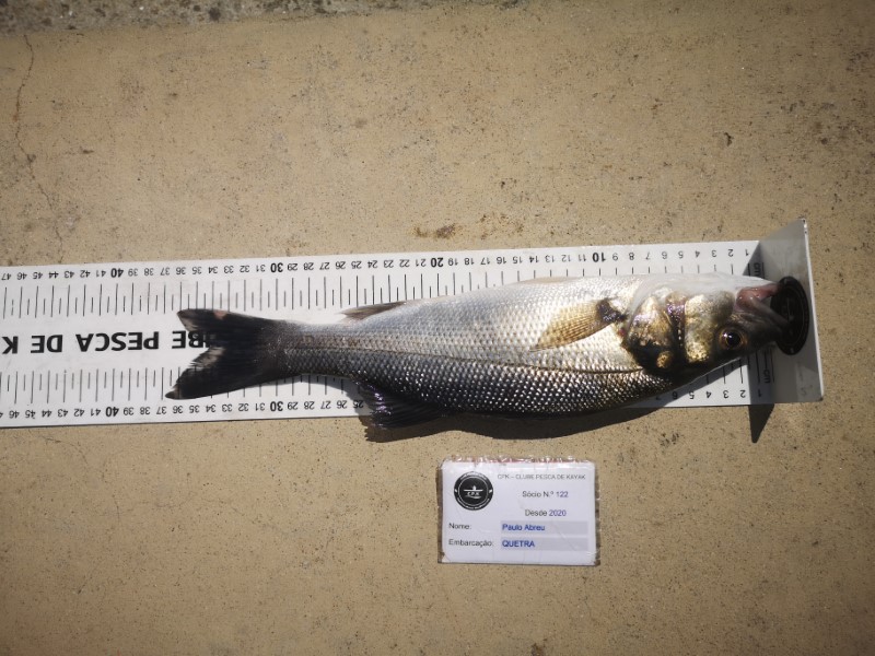 Fish Measure Picture