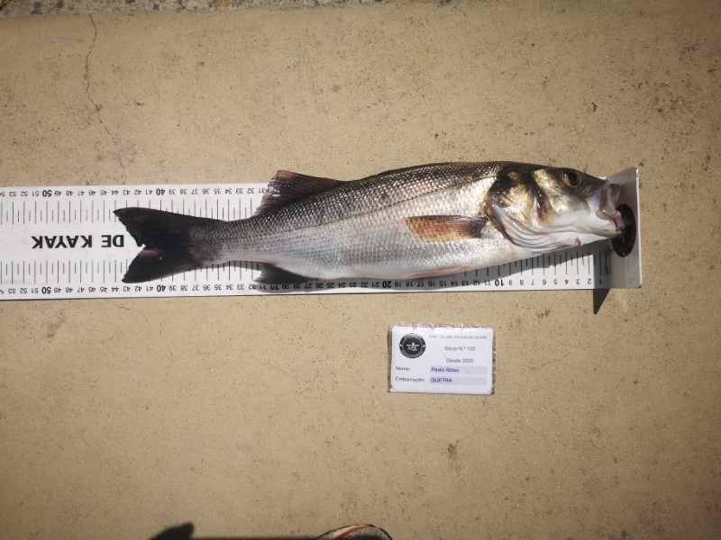 Fish Measure Picture