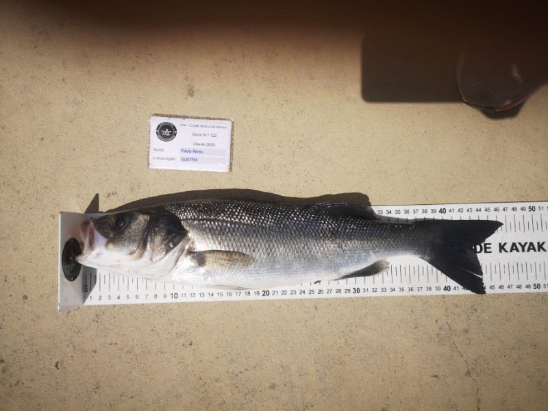 Fish Measure Picture