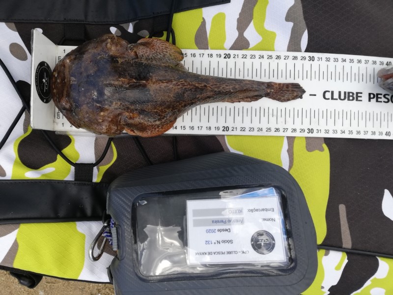 Fish Measure Picture