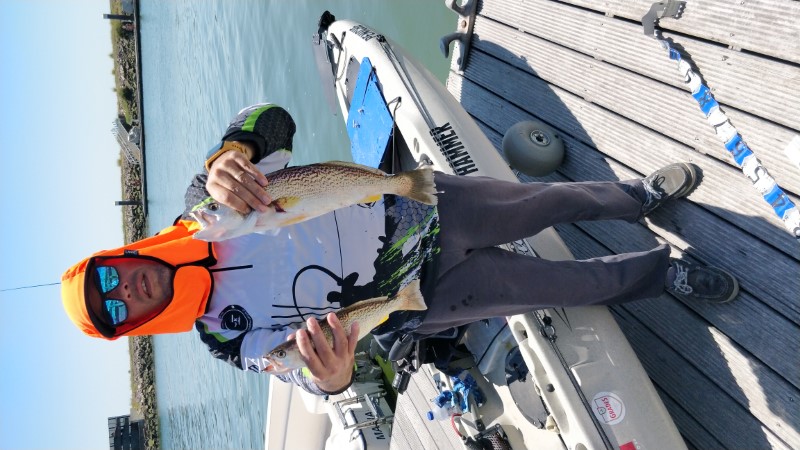 Fish Profile Picture