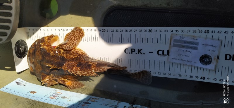 Fish Measure Picture