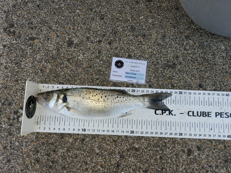 Fish Measure Picture