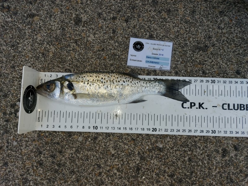 Fish Measure Picture