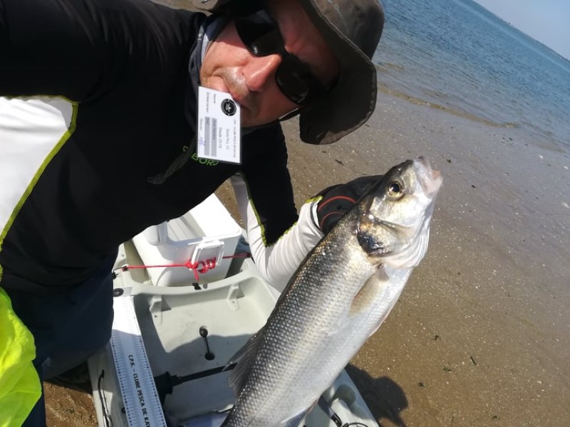 Fish Profile Picture