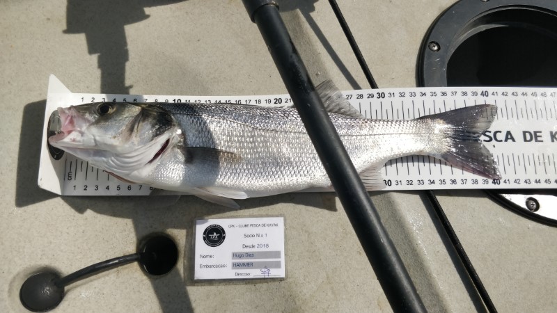 Fish Measure Picture