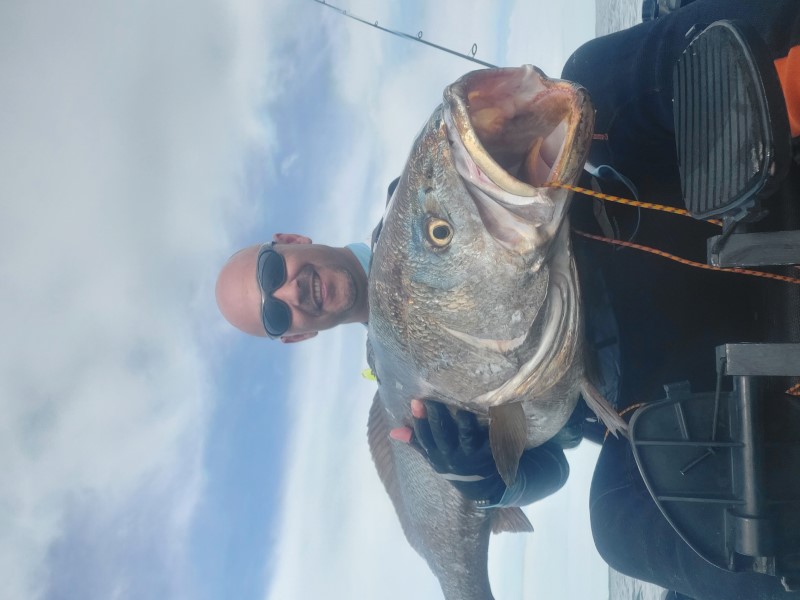 Fish Profile Picture