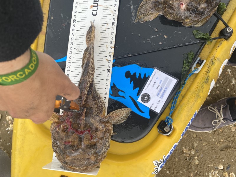 Fish Measure Picture