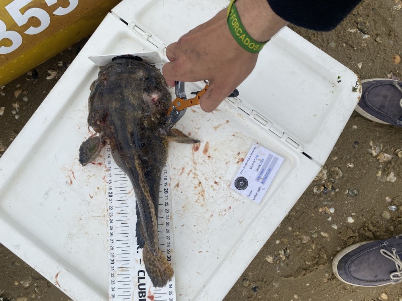 Fish Measure Picture