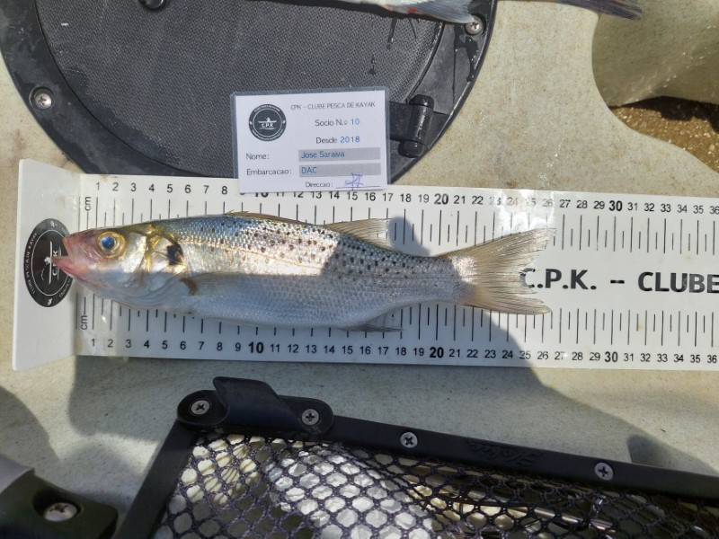 Fish Measure Picture
