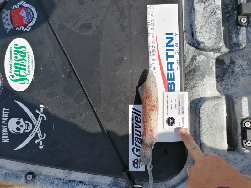 Fish Measure Picture