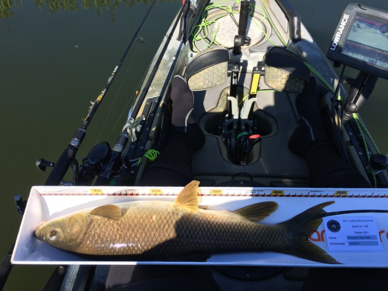 Fish Measure Picture