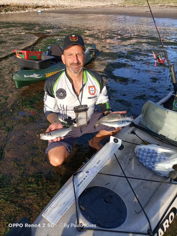 Fish Profile Picture