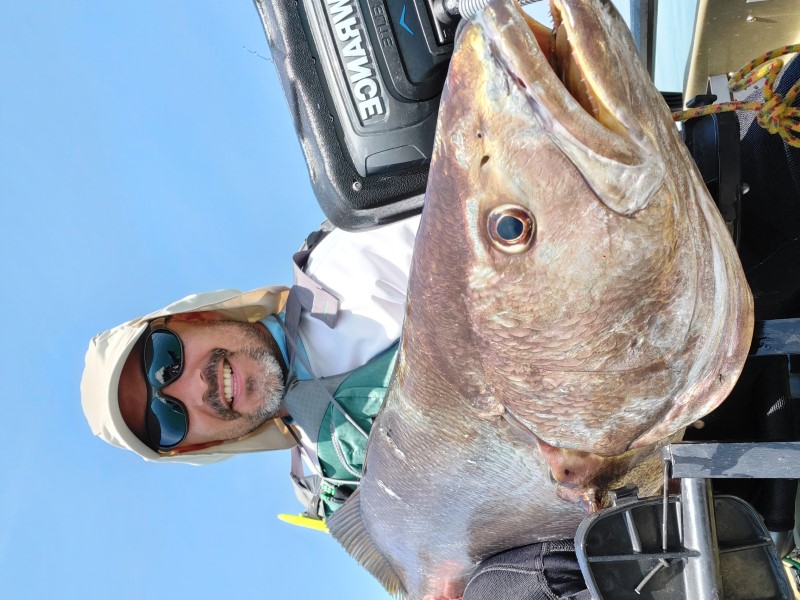 Fish Profile Picture