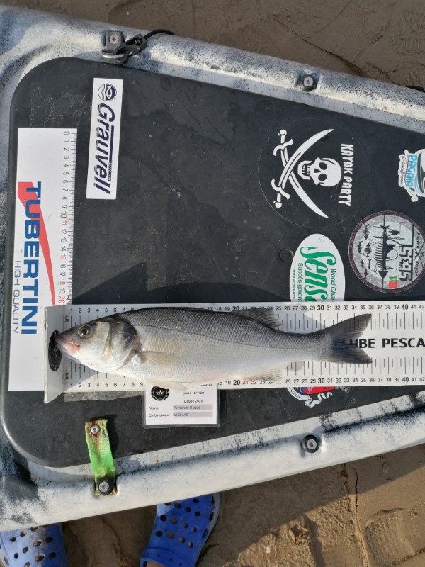 Fish Measure Picture