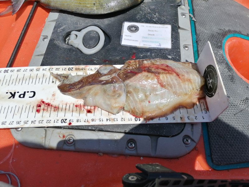 Fish Measure Picture
