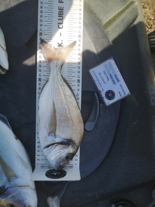 Fish Measure Picture