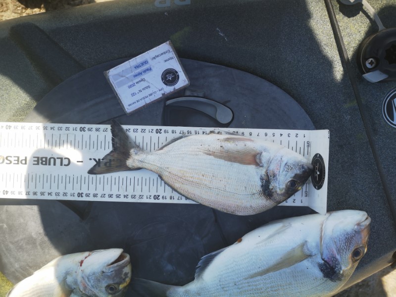 Fish Measure Picture