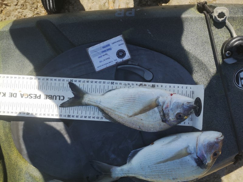 Fish Measure Picture