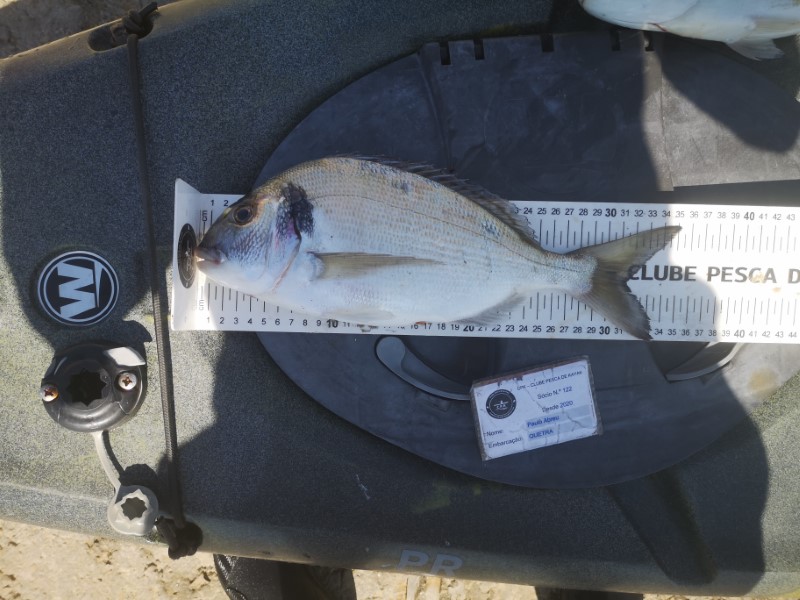 Fish Measure Picture