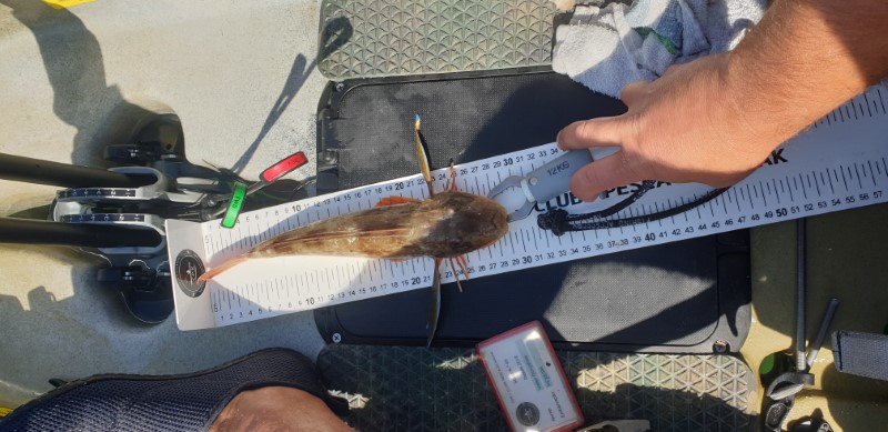 Fish Measure Picture