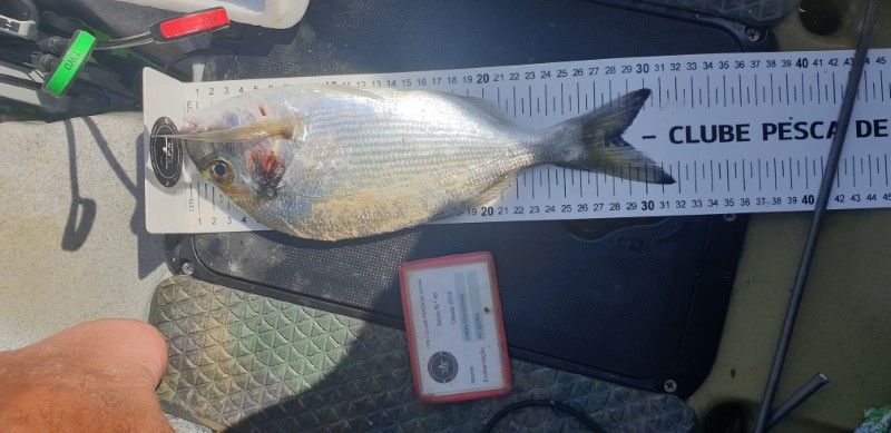 Fish Measure Picture