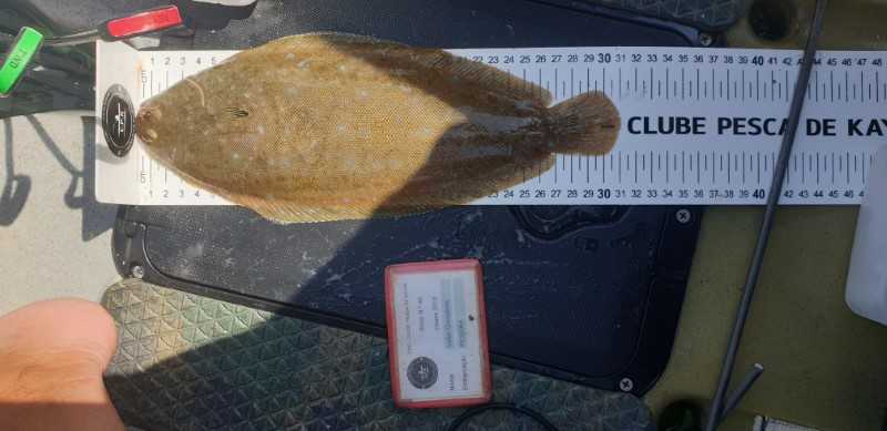 Fish Measure Picture
