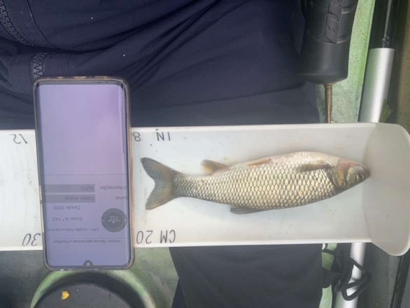 Fish Measure Picture