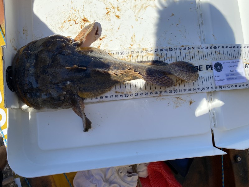 Fish Measure Picture