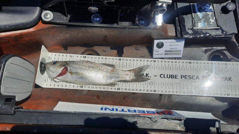Fish Measure Picture
