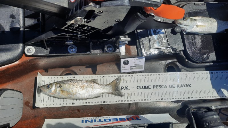 Fish Measure Picture