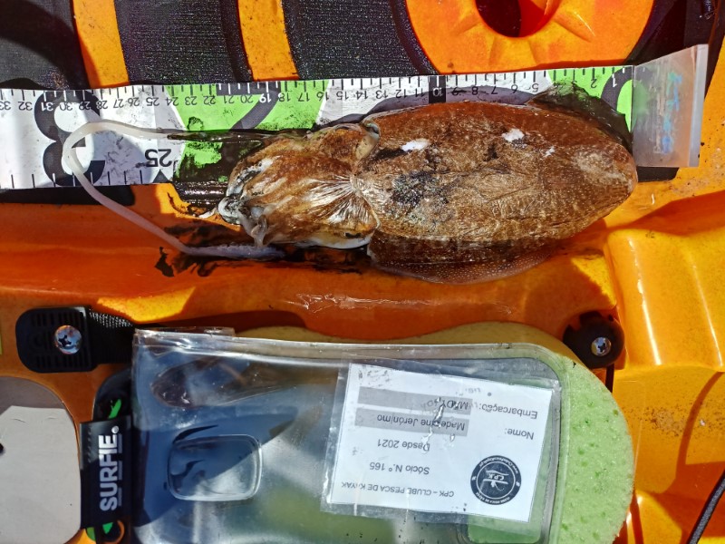 Fish Measure Picture